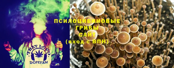 ГАЛЛЮЦИНОГЕННЫЕ ГРИБЫ Орск