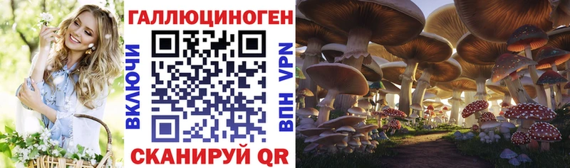 Галлюциногенные грибы MAGIC MUSHROOMS  Купить  Райчихинск